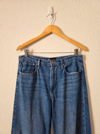 Gap High Rise Wide Leg Jeans (10/30s)
