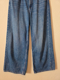Gap High Rise Wide Leg Jeans (10/30s)