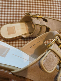 Dolce Vita Suede Mary Jane Mules (9)