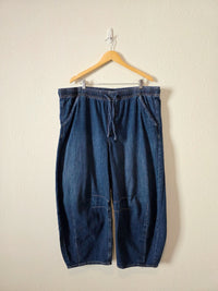 Gap Pull On Horseshoe Jeans (XXL)