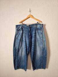 Pilcro Relaxed Barrel Jeans (20W)