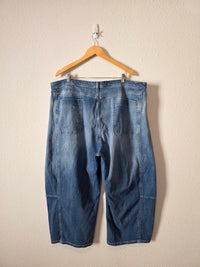 Pilcro Relaxed Barrel Jeans (20W)