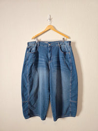 Pilcro Relaxed Barrel Jeans (20W)