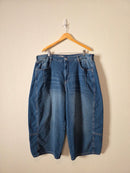 Pilcro Relaxed Barrel Jeans (20W)