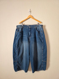Pilcro Relaxed Barrel Jeans (20W)
