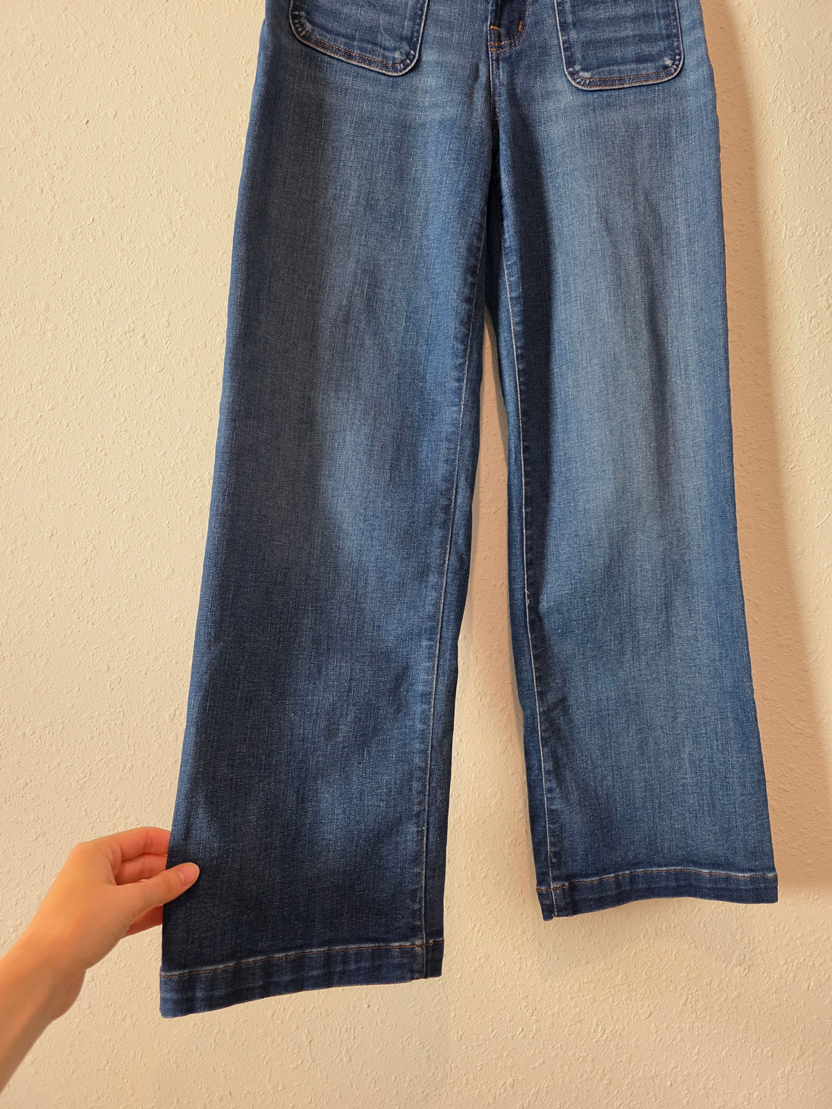 Madewell Emmett Wide Leg Jeans (26P)