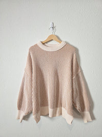 Aerie Textured Chenille Sweater (L)
