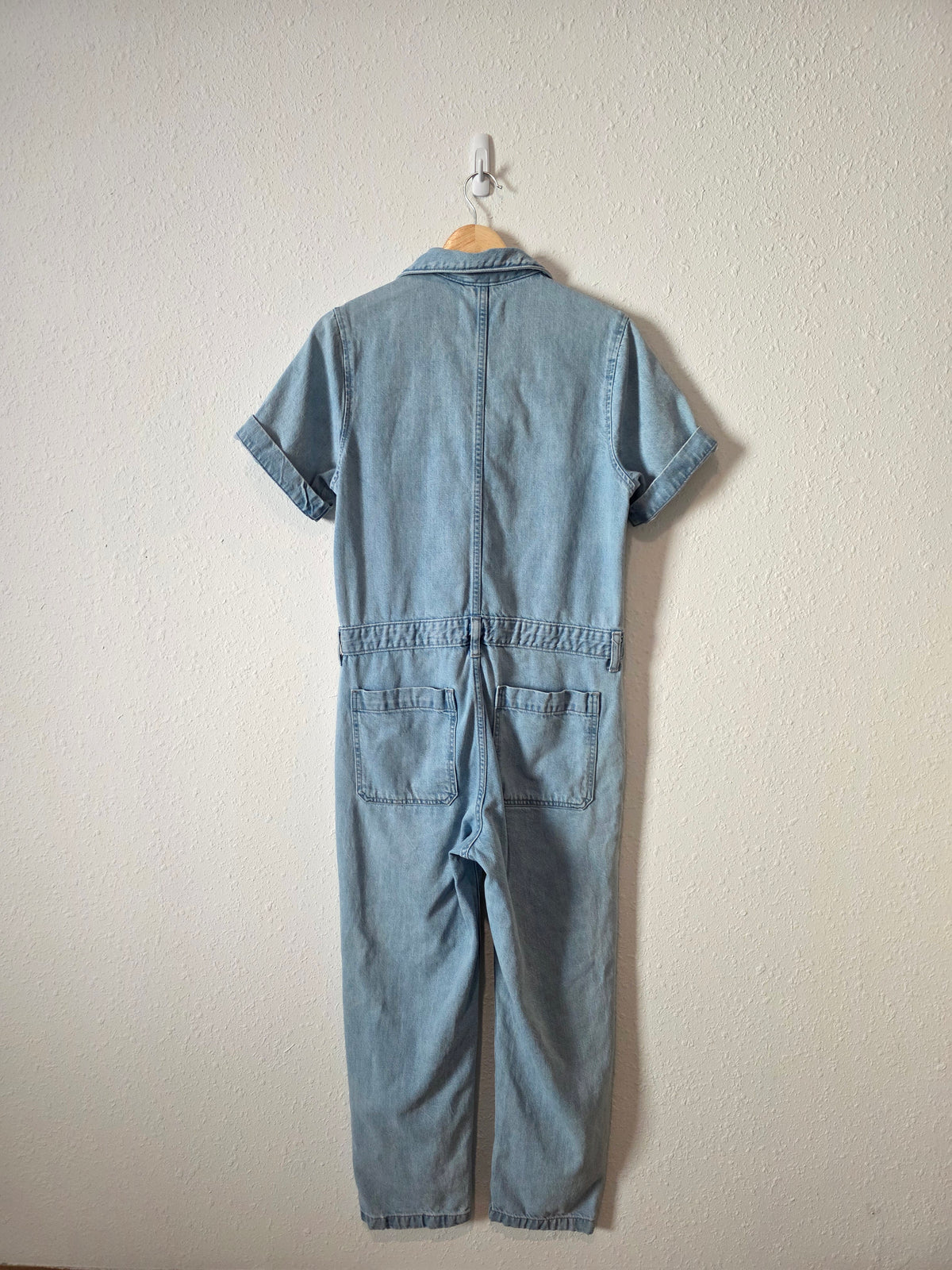 Everlane Straight Denim Jumpsuit (2)