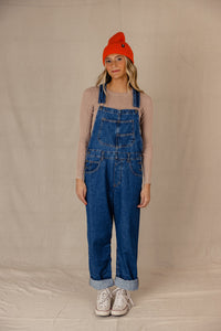 Free People Ziggy Denim Overalls (L)