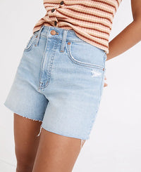 Madewell High Rise Denim Shorts (30)