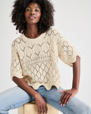 Splendid Textured Knit Sweater (L)