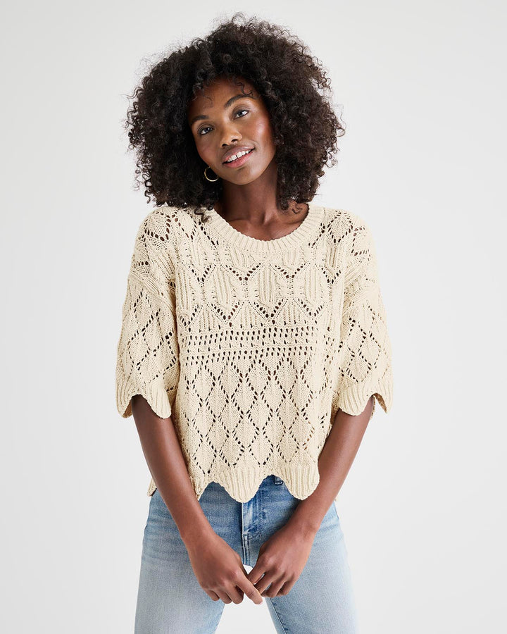Splendid Textured Knit Sweater (L)