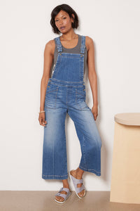 Evereve Wide Leg Denim Overalls (25)
